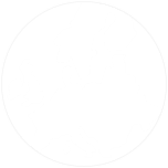 transport zagraniczny